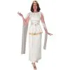 Athena Adult Costume 1 Athena Adult Costume -Cosplay Outfit Store.com 11380