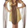 Grecian Goddess Adult Costume -Cosplay Outfit Store.com 33906