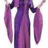 Medieval Princess Adult Costume -Cosplay Outfit Store.com 411 768 FW1059
