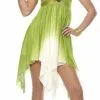 Mother Nature Adult Costume -Cosplay Outfit Store.com 61379