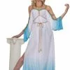 Grecian Gorgeous Goddess Adult Costume -Cosplay Outfit Store.com 69519