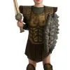 Clash Of The Titans Perseus Child Costume -Cosplay Outfit Store.com 70463